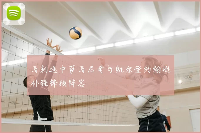 马刺选中萨马尼奇与凯尔登约翰逊补强锋线阵容