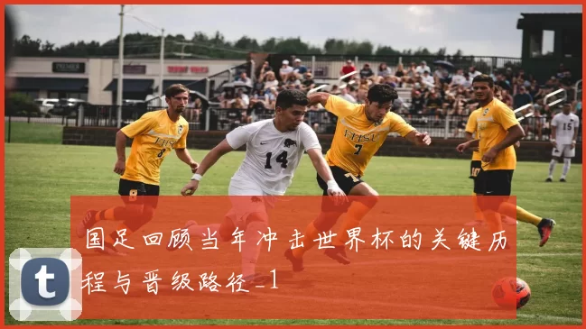 国足回顾当年冲击世界杯的关键历程与晋级路径_1