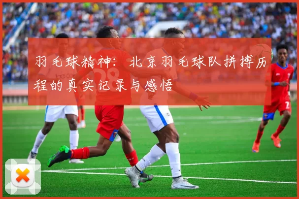 羽毛球精神：北京羽毛球队拼搏历程的真实记录与感悟
