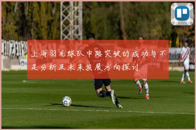 上海羽毛球队中路突破的成功与不足分析及未来发展方向探讨