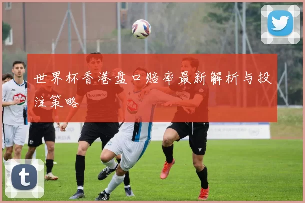 世界杯香港盘口赔率最新解析与投注策略
