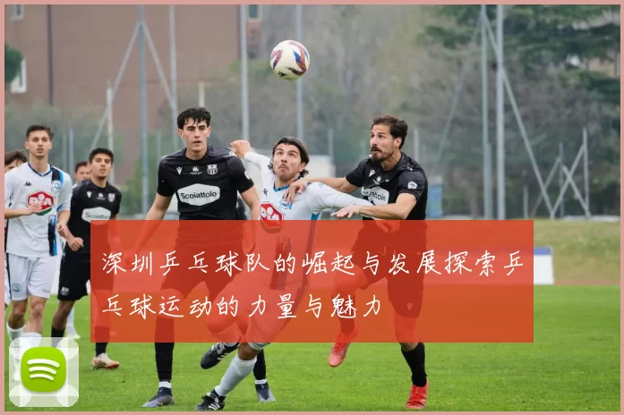 深圳乒乓球队的崛起与发展探索乒乓球运动的力量与魅力