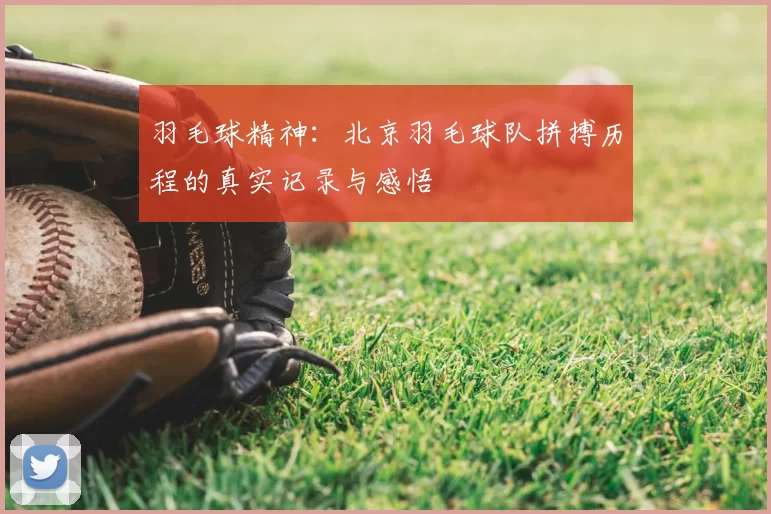 羽毛球精神：北京羽毛球队拼搏历程的真实记录与感悟