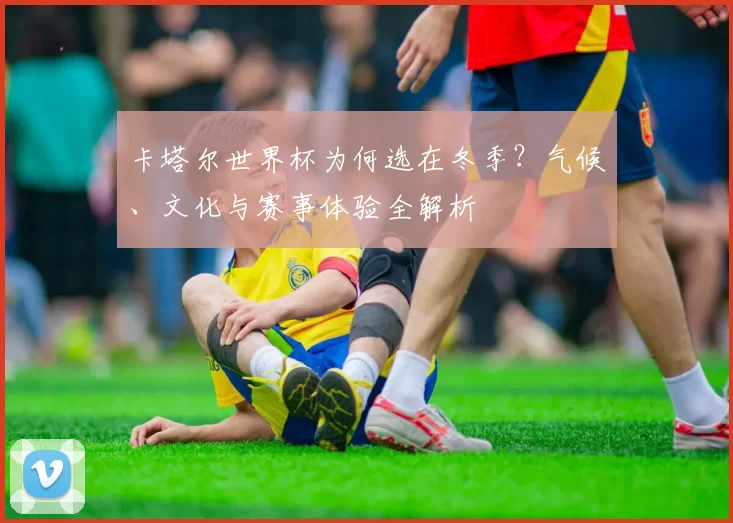 卡塔尔世界杯为何选在冬季?气候、文化与赛事体验全解析