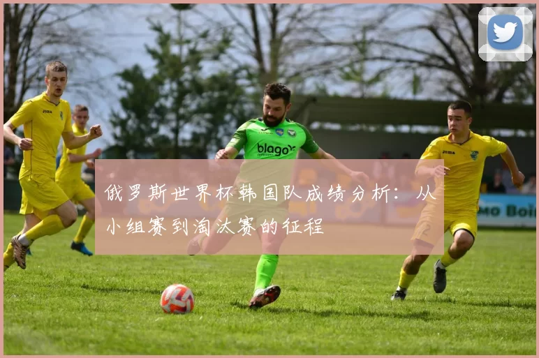 俄罗斯世界杯韩国队成绩分析：从小组赛到淘汰赛的征程