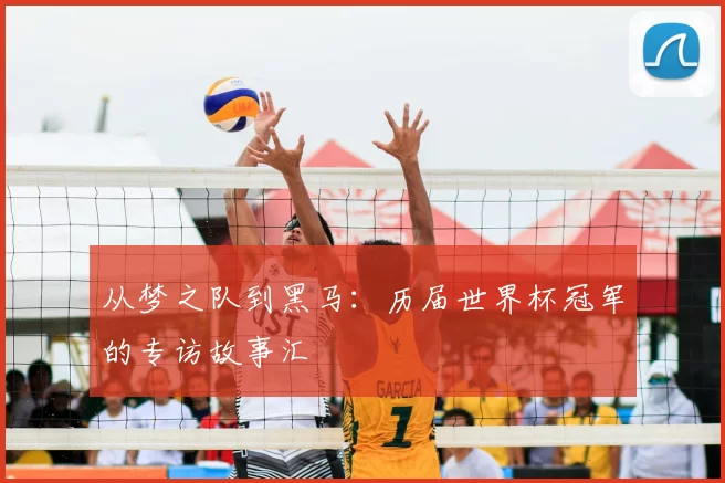 从梦之队到黑马:历届世界杯冠军的专访故事汇