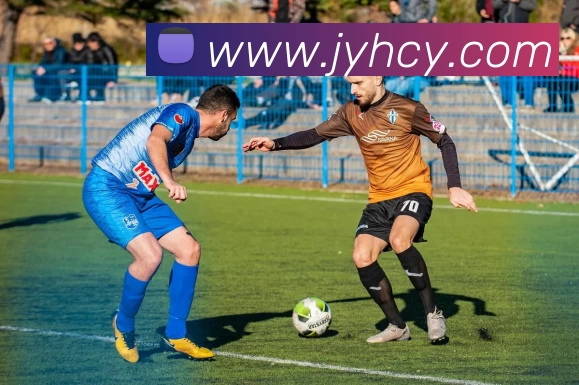 买球赛平台生态图